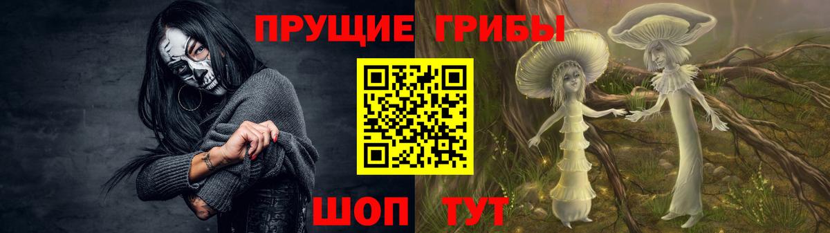 Будённовск  Галлюциногенные грибы Cubensis  Вход с VPN 