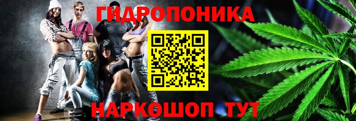 Шишки марихуана VHQ  Вход с VPN  Конопля AK-47  Будённовск  Бошки Шишки LSD WEED  Бошки Шишки гибрид 